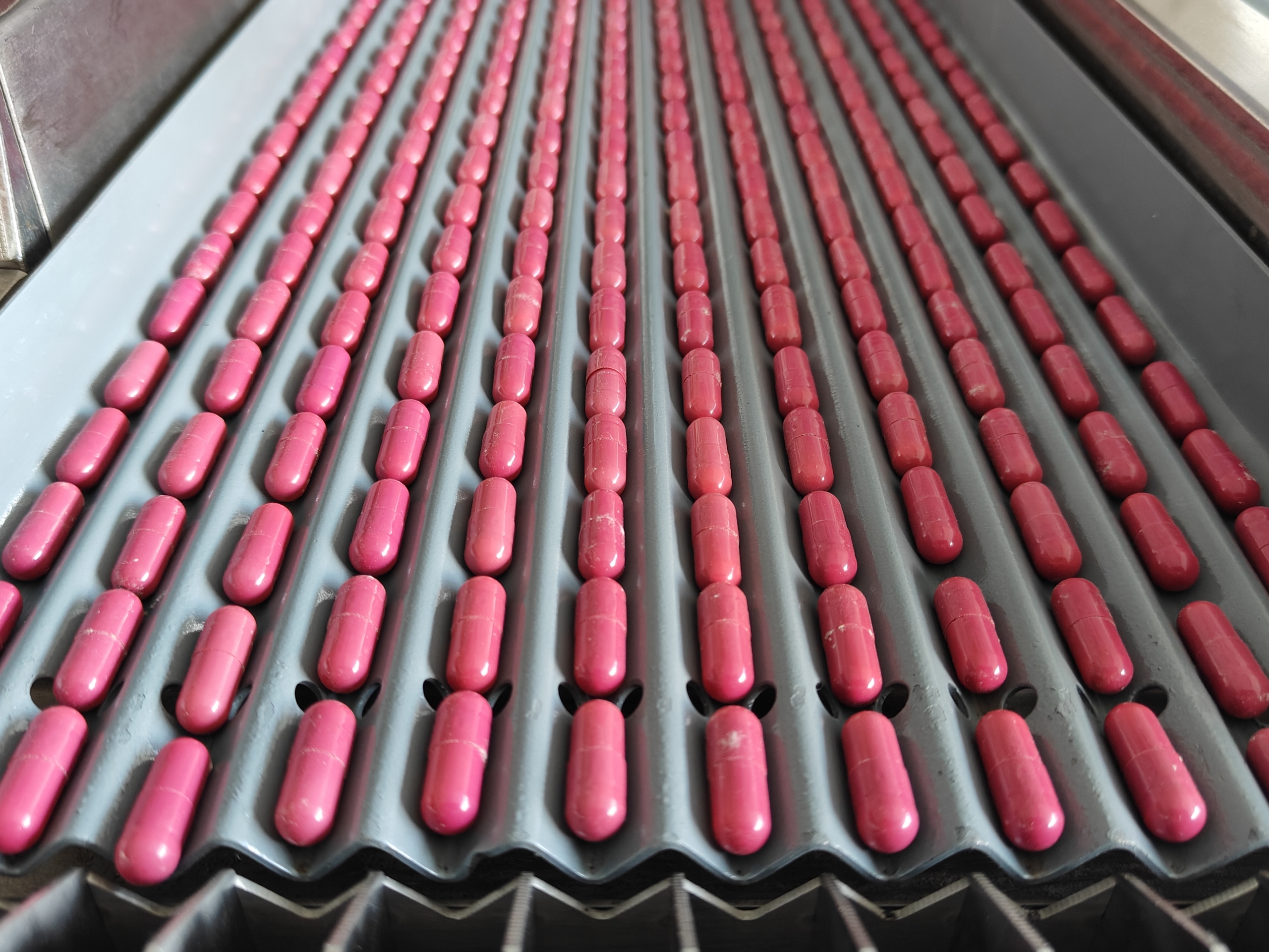 IMG20250822151917(1)